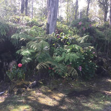 Simply Convenient Tropical Country Studio Mountain View Bagian luar foto